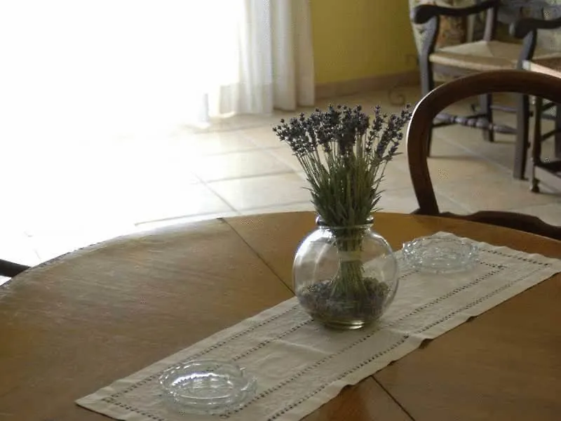 Hotel Can Ceret Sant Pere Pescador